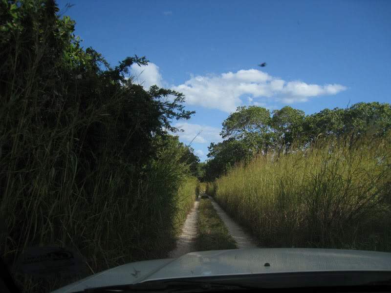 ai570.photobucket.com_albums_ss145_zibbleme_mocambique_IMG_1893.jpg
