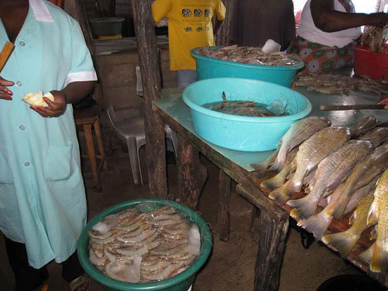 ai570.photobucket.com_albums_ss145_zibbleme_mocambique_IMG_2448.jpg