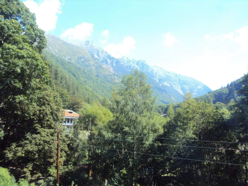 ai583.photobucket.com_albums_ss275_feluriti_DSC002921.jpg