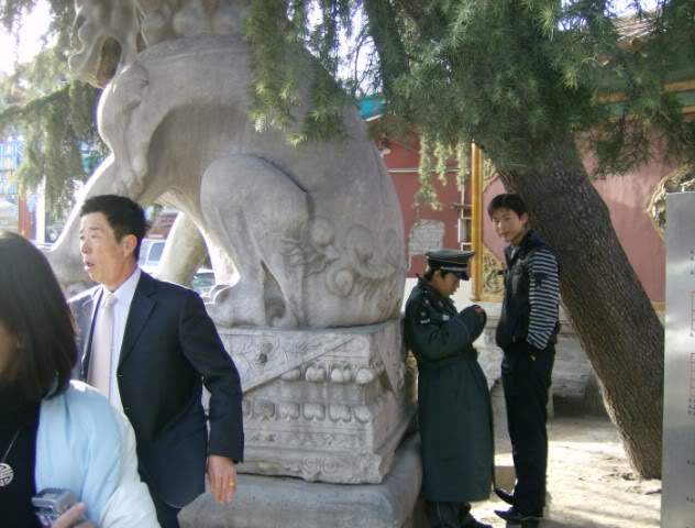 ai585.photobucket.com_albums_ss297_sfcls_017640x480_1.jpg