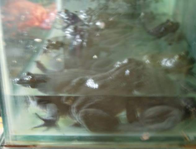 ai585.photobucket.com_albums_ss297_sfcls_405640x480_1.jpg