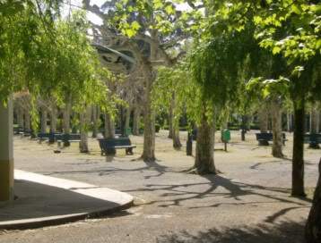 ai585.photobucket.com_albums_ss297_sfcls_Curia_20__20Abril_202010_HPIM8273.jpg