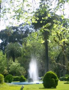 ai585.photobucket.com_albums_ss297_sfcls_Curia_20__20Abril_202010_HPIM8279.jpg