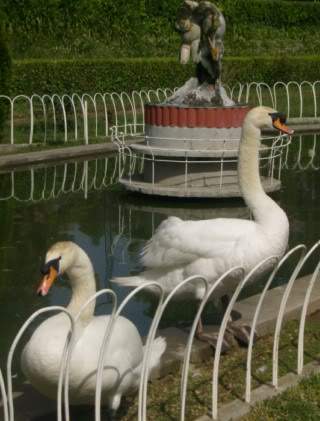 ai585.photobucket.com_albums_ss297_sfcls_Curia_20__20Abril_202010_HPIM8291.jpg