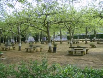 ai585.photobucket.com_albums_ss297_sfcls_Curia_20__20Abril_202010_HPIM8294.jpg