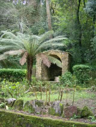 ai585.photobucket.com_albums_ss297_sfcls_Curia_20__20Abril_202010_HPIM8336.jpg