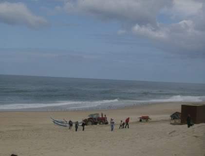 ai585.photobucket.com_albums_ss297_sfcls_Curia_20__20Abril_202010_HPIM8379.jpg