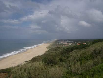 ai585.photobucket.com_albums_ss297_sfcls_Curia_20__20Abril_202010_HPIM8386.jpg