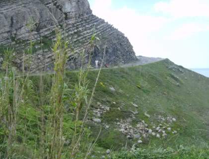 ai585.photobucket.com_albums_ss297_sfcls_Curia_20__20Abril_202010_HPIM8388.jpg