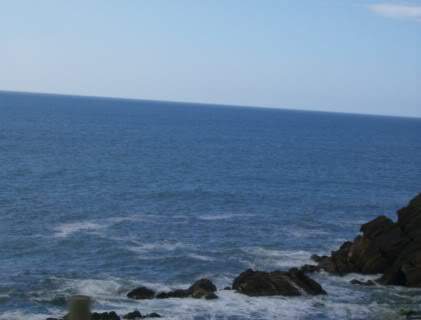 ai585.photobucket.com_albums_ss297_sfcls_Curia_20__20Abril_202010_HPIM8421.jpg