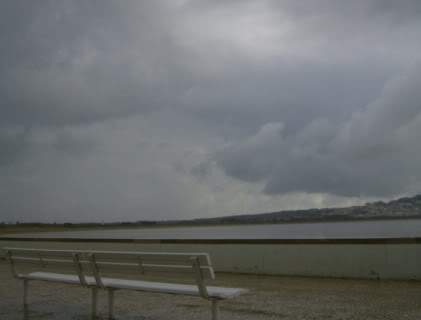 ai585.photobucket.com_albums_ss297_sfcls_Curia_20__20Abril_202010_HPIM8440.jpg