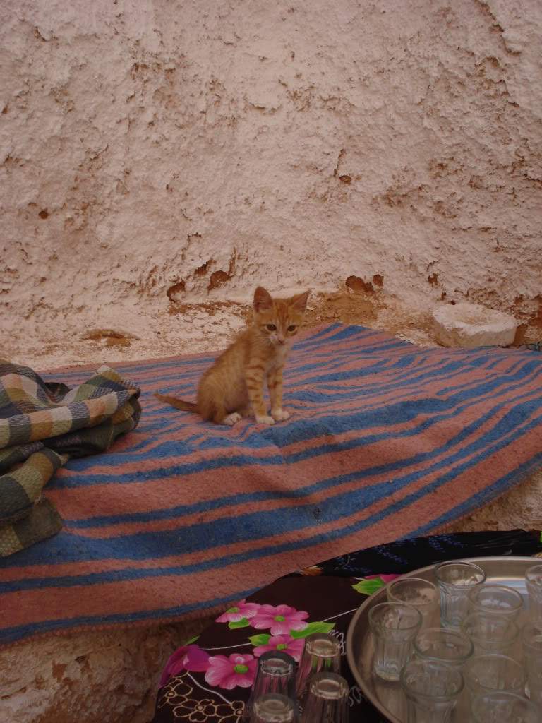 ai589.photobucket.com_albums_ss339_SusanaFonseca_bucket_DSC03997.jpg