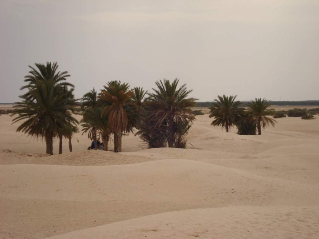 ai589.photobucket.com_albums_ss339_SusanaFonseca_bucket_DSC04071.jpg