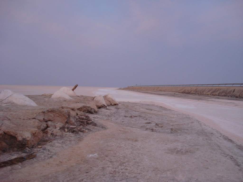 ai589.photobucket.com_albums_ss339_SusanaFonseca_bucket_DSC04134.jpg