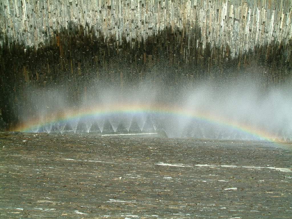 ai589.photobucket.com_albums_ss339_SusanaFonseca_bucket_DSCF0058.jpg