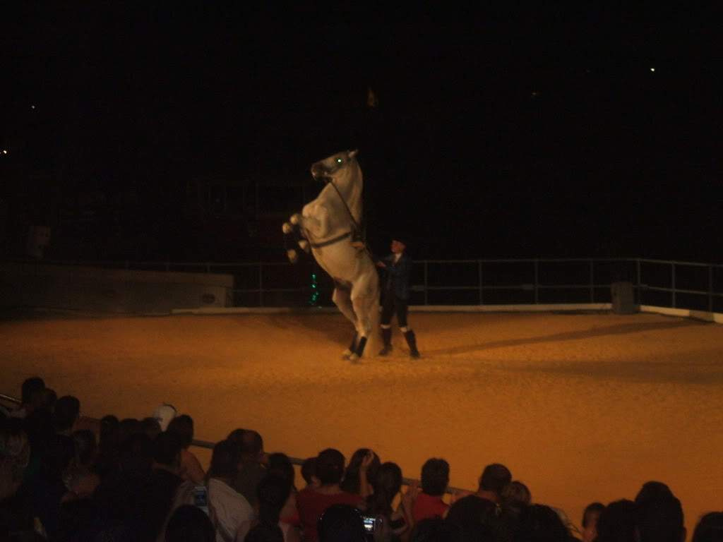 ai589.photobucket.com_albums_ss339_SusanaFonseca_bucket_DSCF2218.jpg