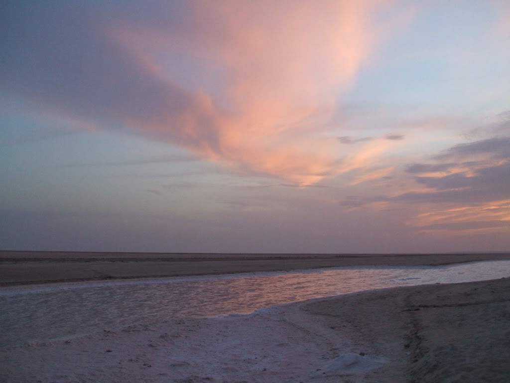 ai589.photobucket.com_albums_ss339_SusanaFonseca_bucket_DSCF4182.jpg
