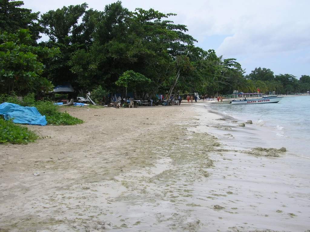 ai593.photobucket.com_albums_tt11_maricarv_P8263408.jpg