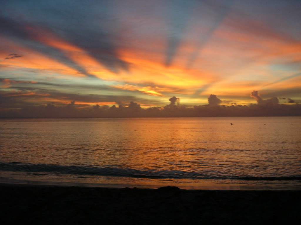 ai593.photobucket.com_albums_tt11_maricarv_P8273544.jpg