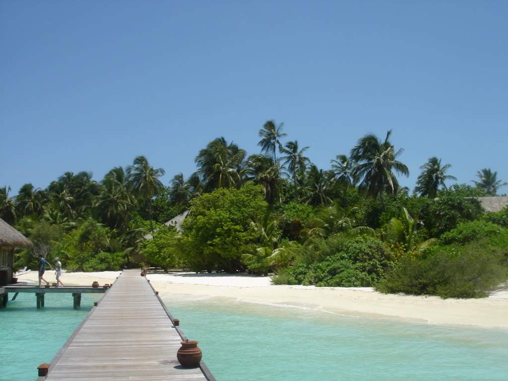 ai593.photobucket.com_albums_tt13_LIGIA_016_DSC02226.jpg