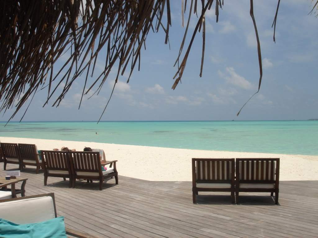 ai593.photobucket.com_albums_tt13_LIGIA_016_DSC02450.jpg