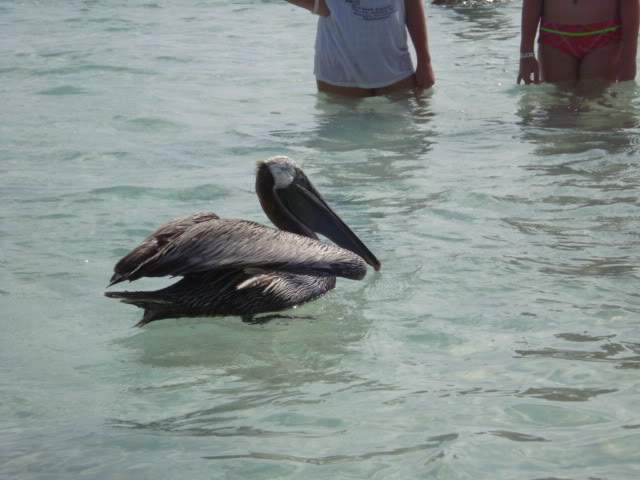 ai593.photobucket.com_albums_tt13_LIGIA_016_DSC03948.jpg