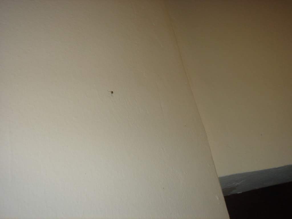 ai593.photobucket.com_albums_tt13_LIGIA_016_DSC04081.jpg