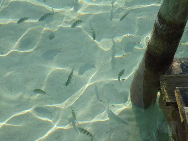 ai593.photobucket.com_albums_tt13_LIGIA_016_DSC04227.jpg