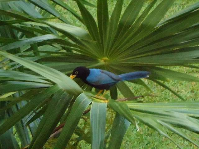 ai593.photobucket.com_albums_tt13_LIGIA_016_DSC04319.jpg