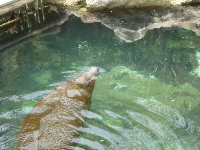 ai593.photobucket.com_albums_tt13_LIGIA_016_DSC04879.jpg