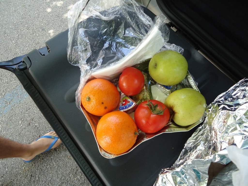 ai593.photobucket.com_albums_tt13_LIGIA_016_DSC05040.jpg
