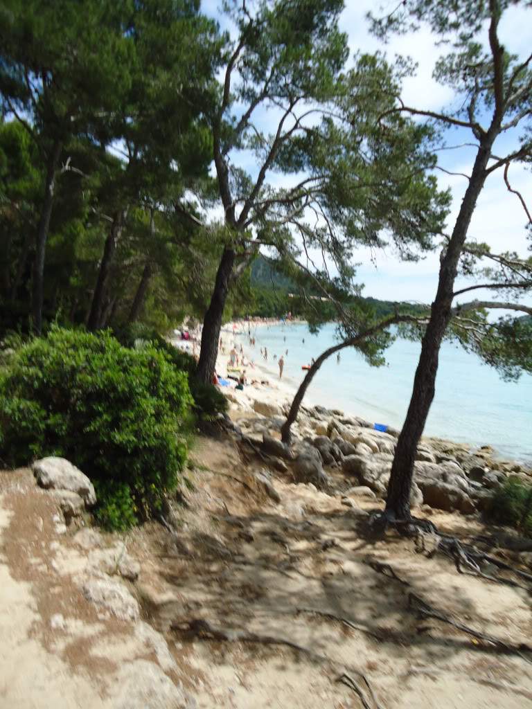 ai593.photobucket.com_albums_tt13_LIGIA_016_DSC05193.jpg