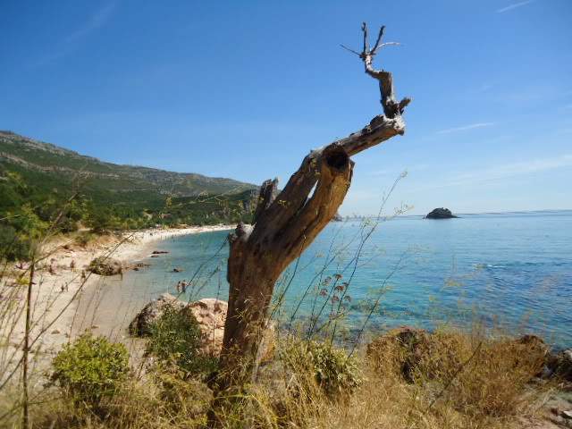 ai593.photobucket.com_albums_tt13_LIGIA_016_DSC05397.jpg