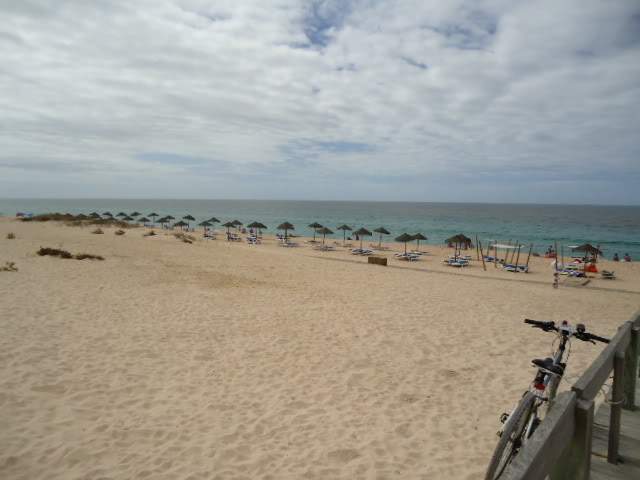 ai593.photobucket.com_albums_tt13_LIGIA_016_DSC05473.jpg