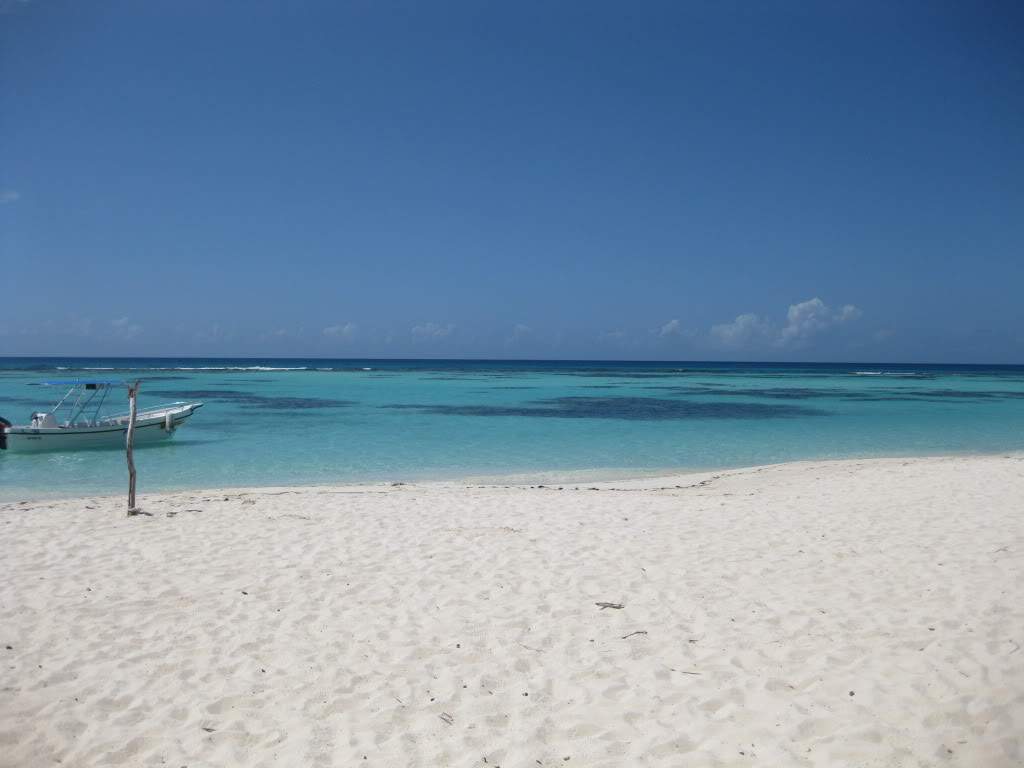 ai598.photobucket.com_albums_tt63_Gosmax_IMG_0067_1.jpg