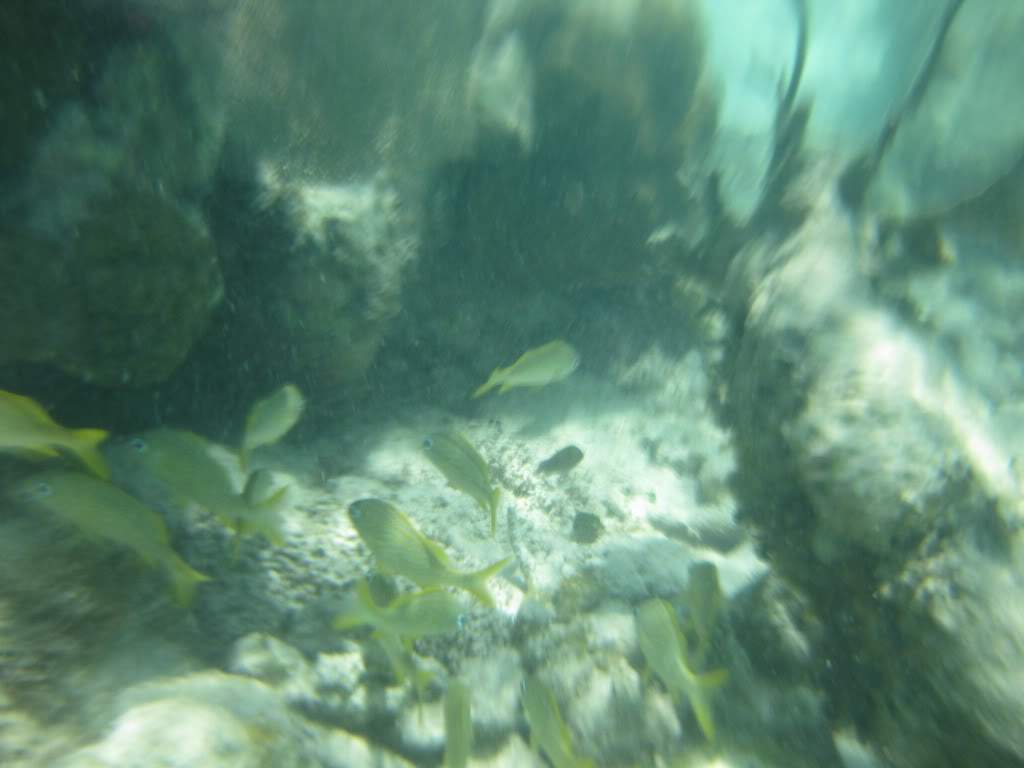 ai598.photobucket.com_albums_tt63_Gosmax_IMG_0128.jpg