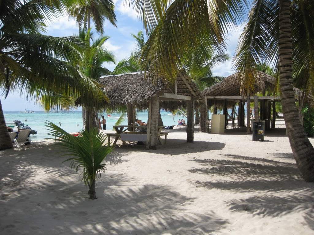 ai598.photobucket.com_albums_tt63_Gosmax_IMG_0197_1.jpg