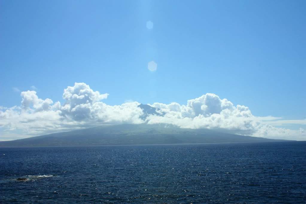 ai598.photobucket.com_albums_tt67_Subbuteiro_IMG_4659.jpg