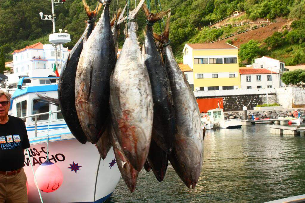 ai598.photobucket.com_albums_tt67_Subbuteiro_IMG_4856_zps991011e2.jpg