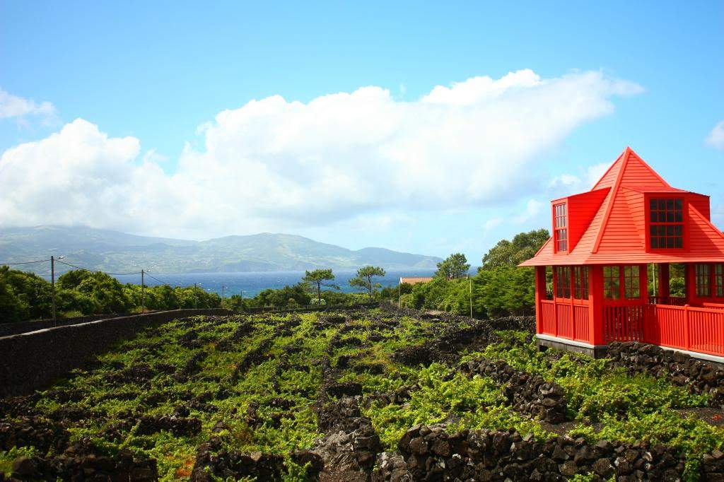 ai598.photobucket.com_albums_tt67_Subbuteiro_IMG_4967_zps6ec329bb.jpg