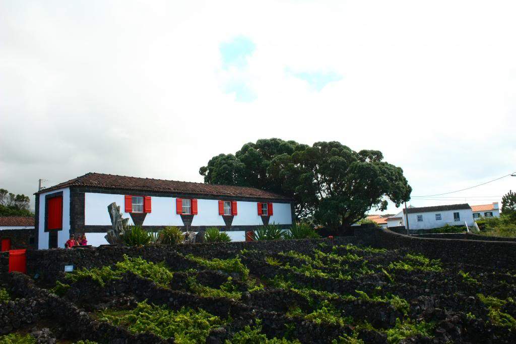 ai598.photobucket.com_albums_tt67_Subbuteiro_IMG_4982_zps889ae9e6.jpg