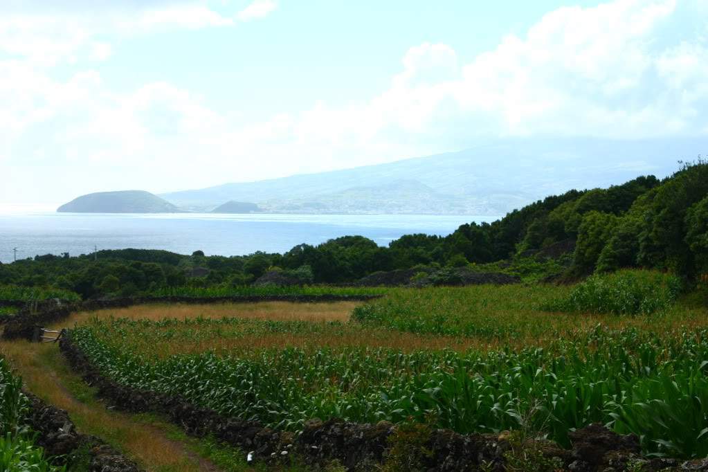 ai598.photobucket.com_albums_tt67_Subbuteiro_IMG_5015.jpg