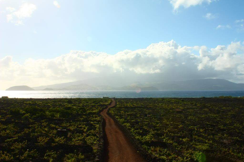 ai598.photobucket.com_albums_tt67_Subbuteiro_IMG_5066_zps9b026e47.jpg