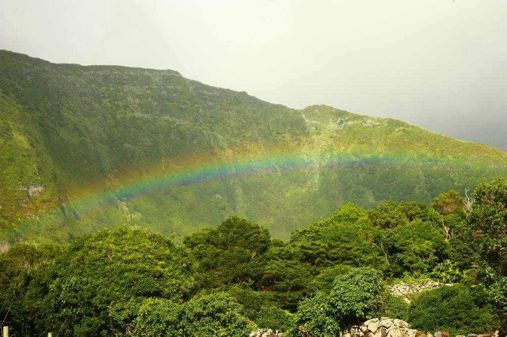 ai598.photobucket.com_albums_tt67_Subbuteiro_IMG_5675_zps6b162a2c.jpg