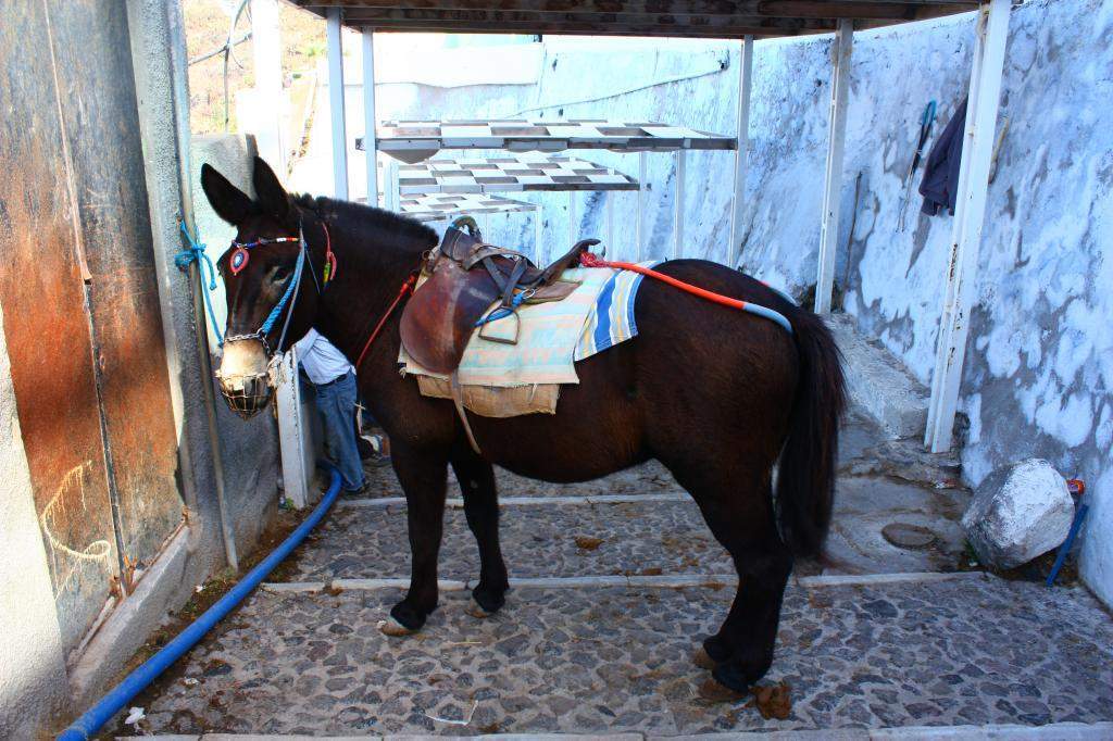 ai598.photobucket.com_albums_tt67_Subbuteiro_IMG_9219_zpse853eada.jpg