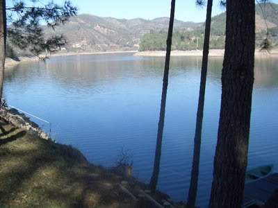 ai599.photobucket.com_albums_tt71_danicarmosimoes_dornes4.jpg