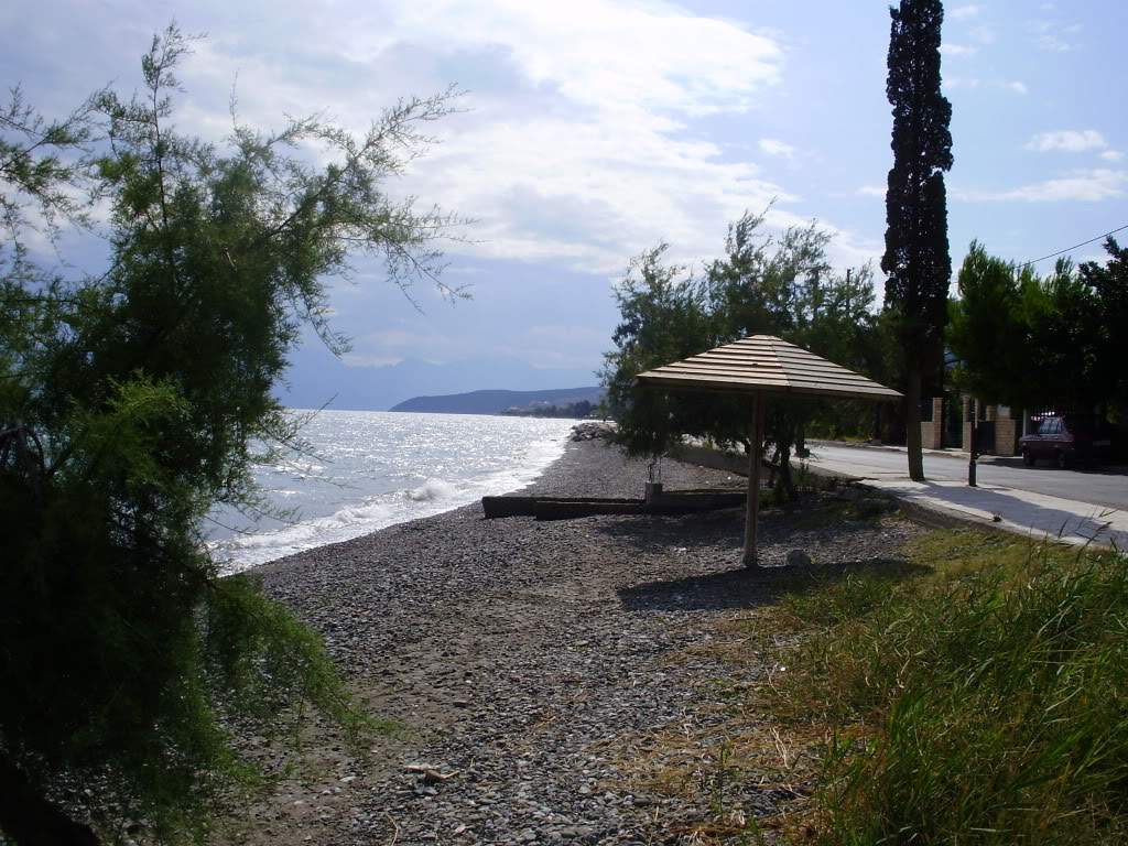 ai599.photobucket.com_albums_tt71_danicarmosimoes_grciaset2009001.jpg