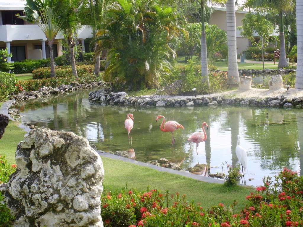 ai599.photobucket.com_albums_tt71_danicarmosimoes_P6030239.jpg