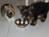 ai606.photobucket.com_albums_tt143_aninhas72_th_P6131275_1.jpg