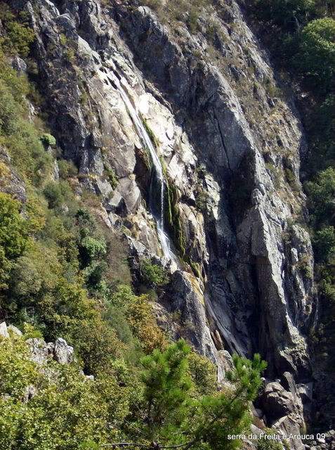 ai609.photobucket.com_albums_tt175_tininha05_SerradaFreitaMontemuroeDouro09019.jpg